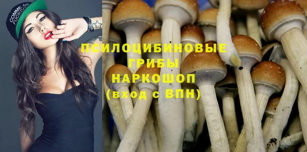 ПСИЛОЦИБИНОВЫЕ ГРИБЫ Алексеевка